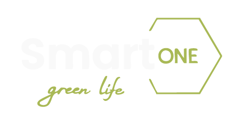Logo SmartOne